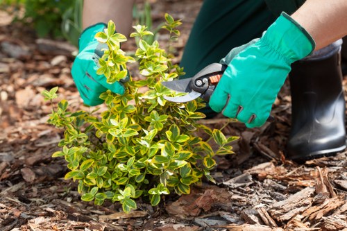 Trusted online payment options for Landscaping Highgate