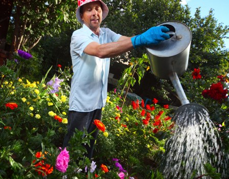 Local transfer station handling landscaping waste and soil recovery