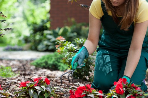 Site assessment for a landscaping booking with planting and paving plans