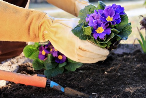 Cookie categories for landscaping website experience