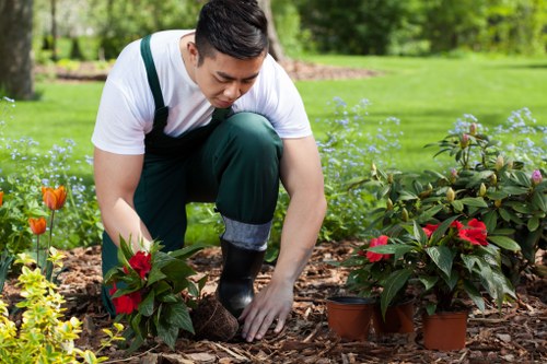Local Highgate soft landscaping team preparing a shaded residential outdoor area