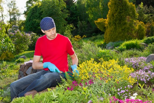 Residential garden planting and border renewal in Highgate