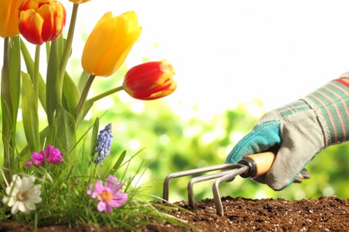 Highgate garden soft landscaping with turfing, soil preparation, and planting