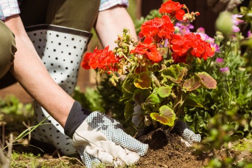 Trained landscaper using equipment with safety awareness